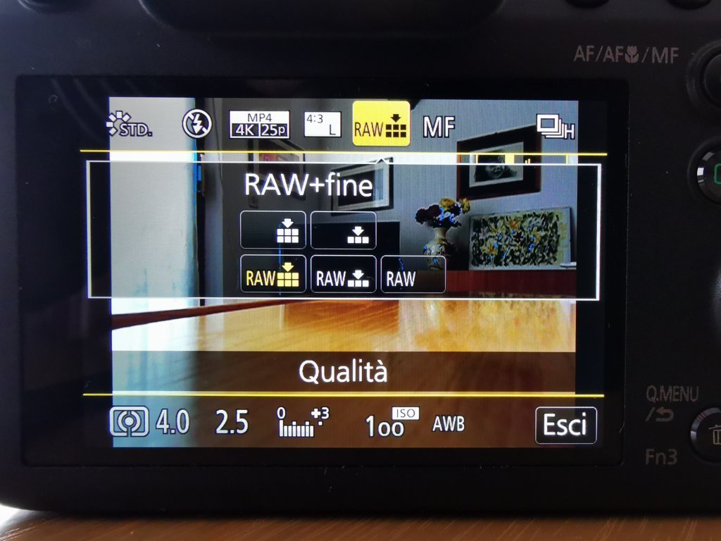 Panasonic LUMIX DC-FZ82 Software