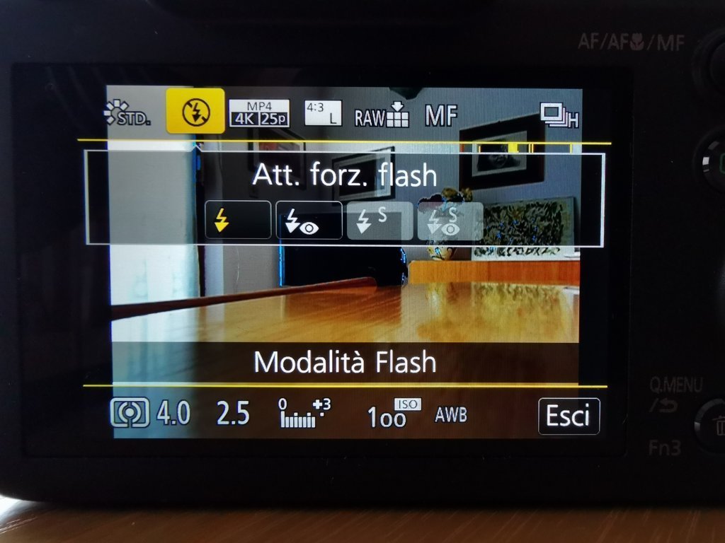 Panasonic LUMIX DC-FZ82 Software