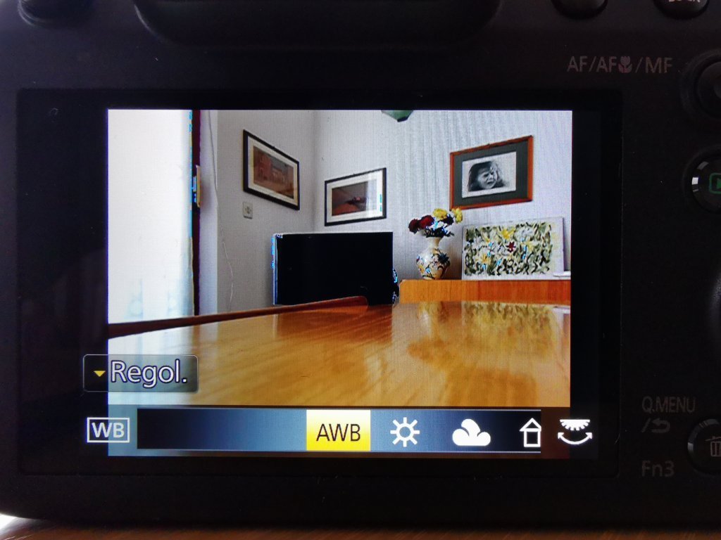 Panasonic LUMIX DC-FZ82 Software